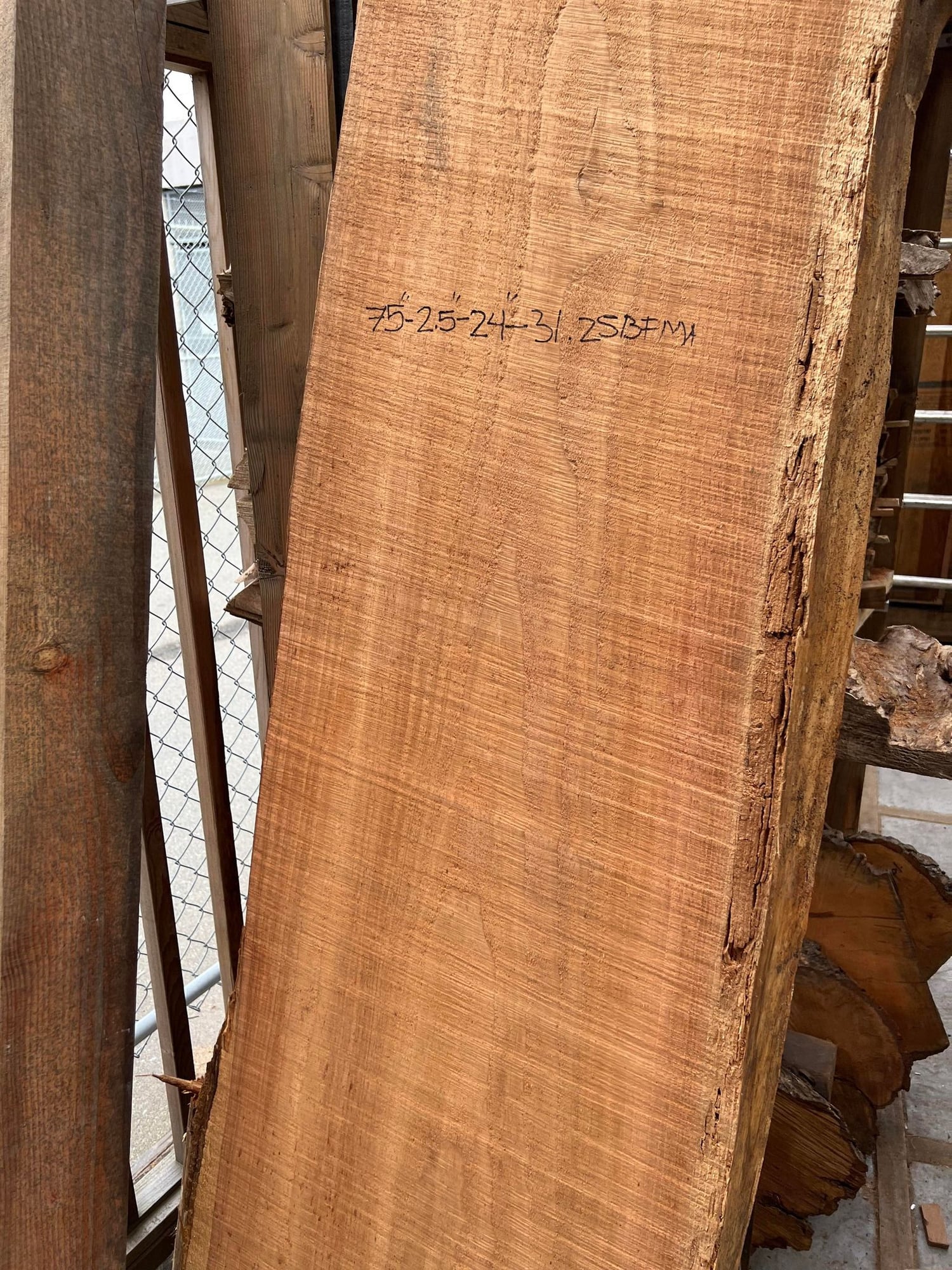Big Leaf Maple